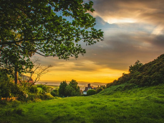 Das ist der Name des Bildes Countryside sunset with trees and fields