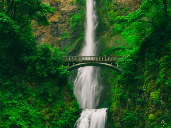 Das ist der Name des Bildes Tall waterfall and bridge in green forest
